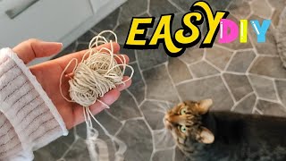 Have You Tried This DIY Meat String Cat Toy❓ by Samo Tries Cat Stuff 298 views 7 months ago 56 seconds