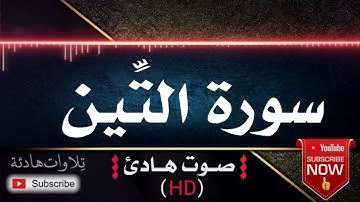 💜🎧 سورة التين | قران كريم بصوت جميل جداً يشرح القلب للقارئ رعد محمد الكردي