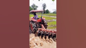the process of plowing rice fields using a tractor #tractor #plowing #process