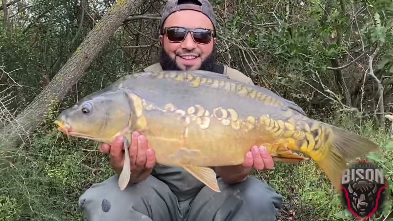 BAŞLIYORUZ. SAKLI BAHÇELER 1.BÖLÜM BİZON AVCISI BÜYÜK TROFE SAZAN AVLARI💥🦬🦬