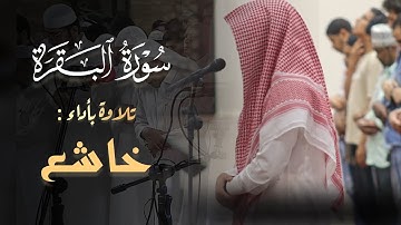 سورة البقرة تلاوة تريح النفس للشيخ عبدالعزيز الجريسي تراويح 1 رمضان 1445 هـ