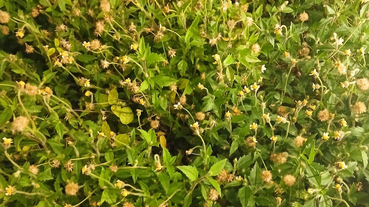 Existe futuro digno para nós?