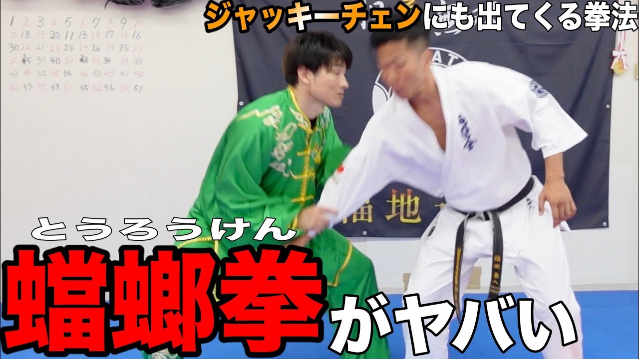 中国拳法【蟷螂拳の達人】の技がヤバすぎる - YouTube