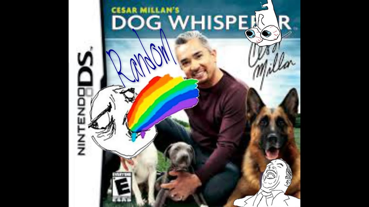 Cesar Millan Como Entrenar A Tu Cachorro