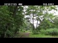 福井県自然保護センター　森の中をウォーキング 森を散策 自然観察会の帰り　森林浴