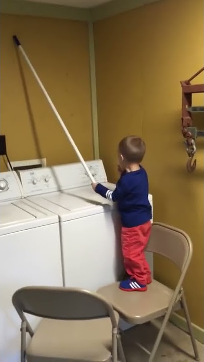 Kecoa terbang membuat anak saya takut. Lucu sekali