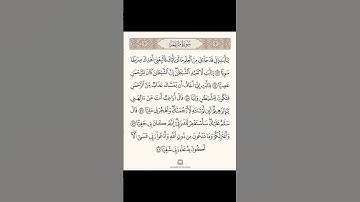 القارئ المبدع @Yasseraldosry ❤️