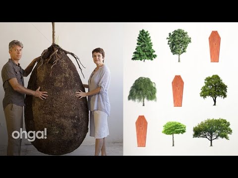 Video: Capsula Uovo Piccola