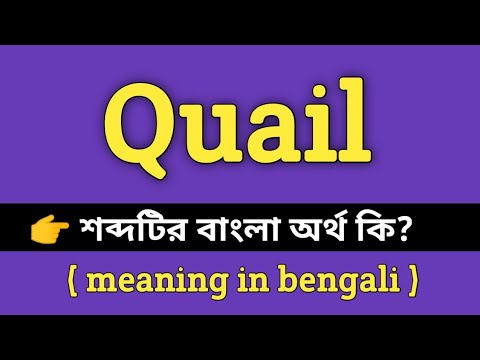 ভিডিও: কুইলিয়া মানে কি?