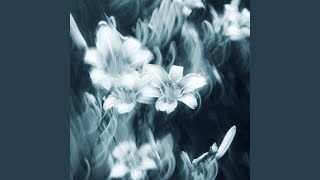 The Serenade of Life