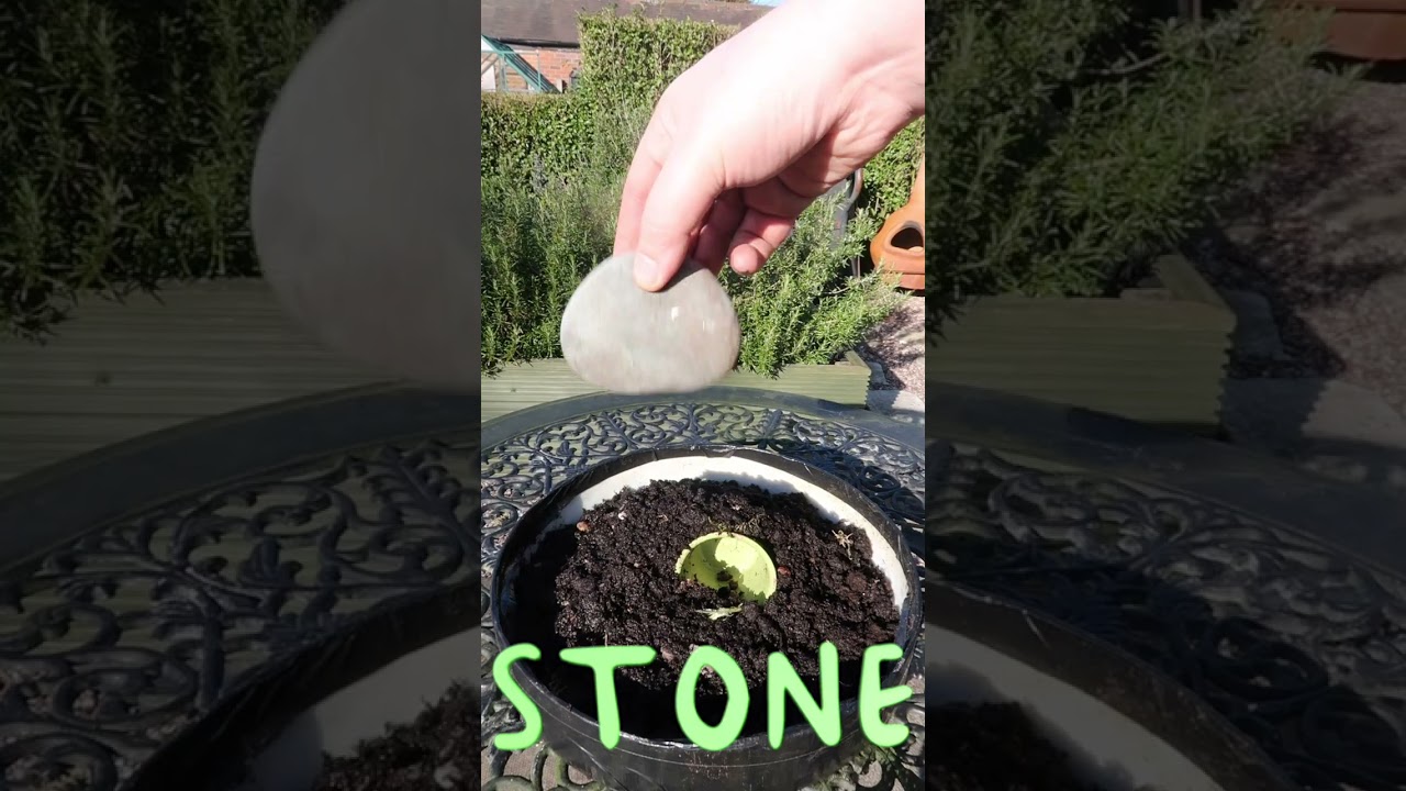 ⁣How to Make an Easter Garden #Shorts