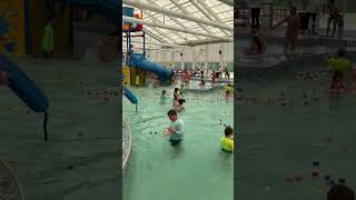 #egghunting #egghunt2025 #swimming #easteregg #easter #eastereggs #eastersunday