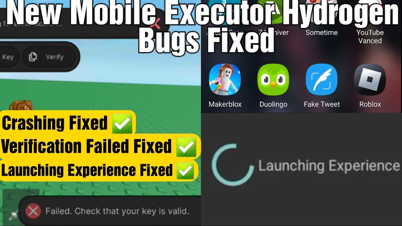 New Mobile Executor Hydrogen all Bugs Fixed | Verify Problem - YouTube