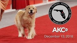 Central Florida Kennel Club All-Breed Show