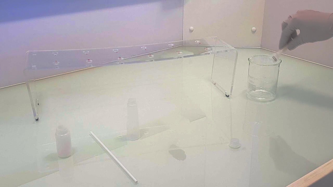 Use of 2 mL prepacked columns (English subtitles)