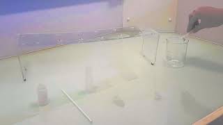 Use of 2 mL prepacked columns (English subtitles)
