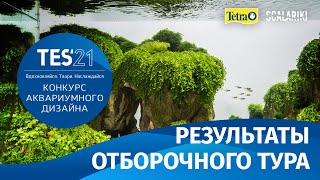 Дневник TES21. Результаты отборочного тура Конкурса Аквариумного Дизайна #tetraeasyscape