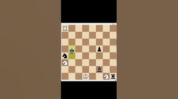 You Won’t Believe This Crazy Chess Stalemate!