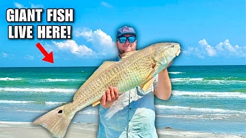 HOW TO Catch Big BULL REDFISH! 