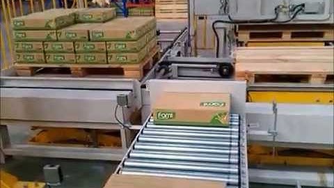 Fuji palletizer robot