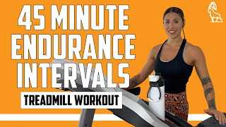 45 MIN ENDURANCE RUN Treadmill Follow Along!