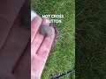 HOT CROSS BUTTON #metaldetecting #uk