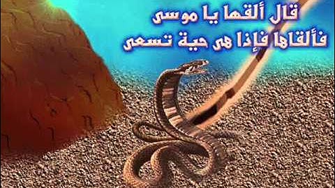 آيات بينات من آخر سورة الحشر .wmv