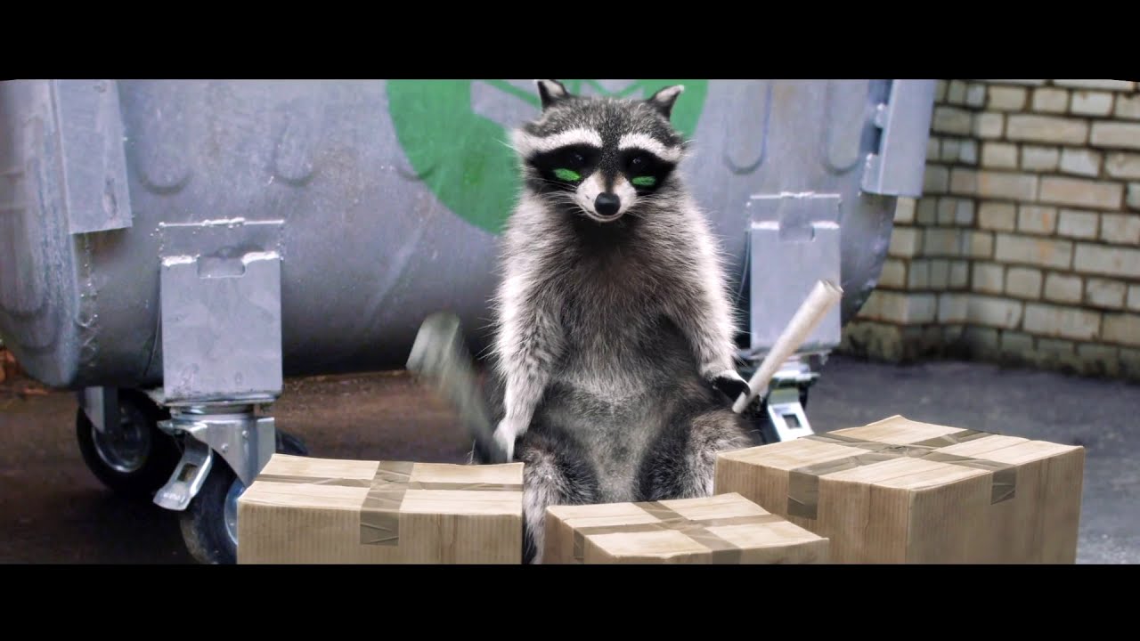 Pedro raccoon dancing. Енот танцует. Енот в мусорке. Еноты танцуют видео. Енот палевый.