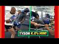 Mike Tyson Sends Sparring Partner to Hospital  Before Floyd Fight