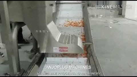 Vegetable processing Plant Vegetable dehydration line IQF line Vegetable Processing & packing