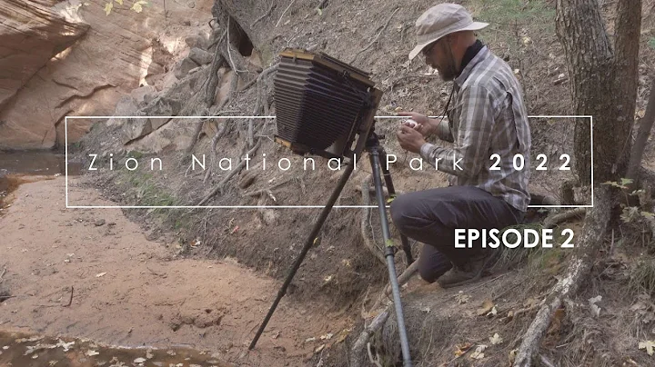 Photographing Zion, Fall 2022: Episode 2