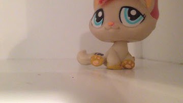 INTRO CONTEST (read desc. For rules)