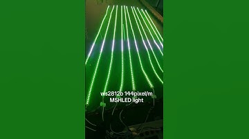 WS2812B IP65 144LED/m Addressable LED Strip Light Test #ws2812b #mshled #stripsledligjt #pixelled