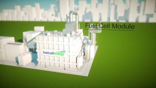 How Fuel Cells Work