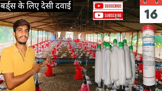 पानी में ज्यादा फ्लोराइड होने पर 🐓 #Cleantab_tablet फायदेमंद 🐥! बर्ड्स के लिए देसी दवाई फायदेमंद ?🐤🐓