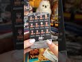 секретная коробка по ГАРРИ ПОТТЕРУ POP MART | собираем коллекцию