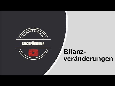 Fibu Folge 1 - Bilanzveränderungen