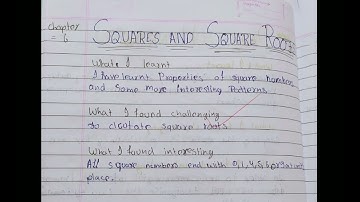 class 8 maths chapter 6 learners diary