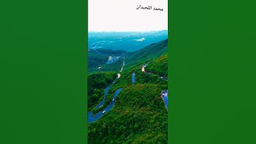 سورة الزمر الآية 22 #nature #calmingquran #naturelovers #quran #قران_كريم #قرآن
