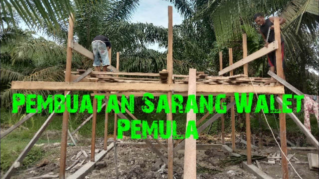 Pembuatan Rumah Burung Walet Dibelakang Rumah RBWPart1 