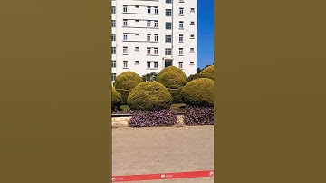 Gitam University Bangalore, Karnataka, India #shortsvideo #shorts #video