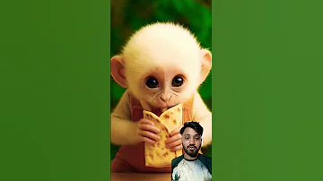 વ દર કહ ક Monkey Youtubeshorts 