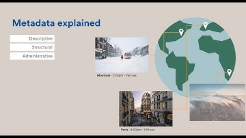 4  Genetec VMS crash course Module 4