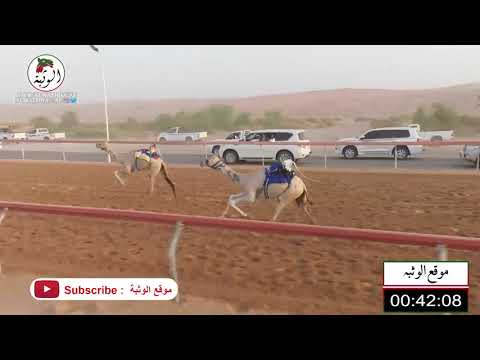 الشوط 11 شخصيه ل مطوع سيف بن شمال الظاهري 2 13 شارة الصندوق 2021 6 18 ابوسمره فطامين