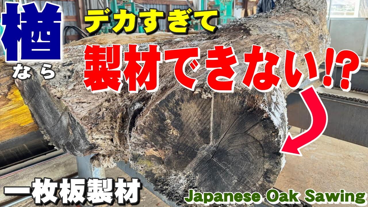 二股がでかすぎて】岩手のナラ原木から一枚板を製材しました。【木の店