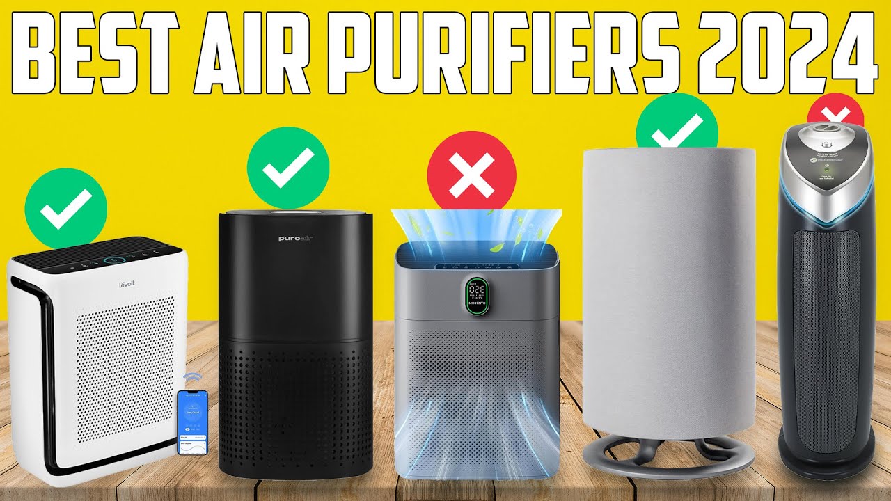 The 5 Best Air Purifiers of 2024