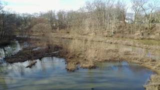 Evans Pond Cherry Hill