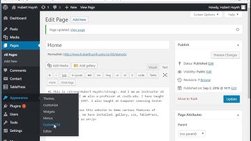 WordPress Demo: Install and use simple custom css plugin