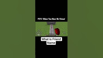 Minecraft When You Have No Friend #minecraft #shorts