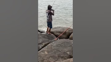 Câu cá Hòn Đá Bạc #fishing #cuoccauca